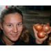 BROWN ONIONS 1KG Pukekohe Grown